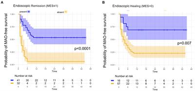 Healing of the epithelial barrier in the ileum is superior to endoscopic and histologic remission for predicting major adverse outcomes in ulcerative colitis